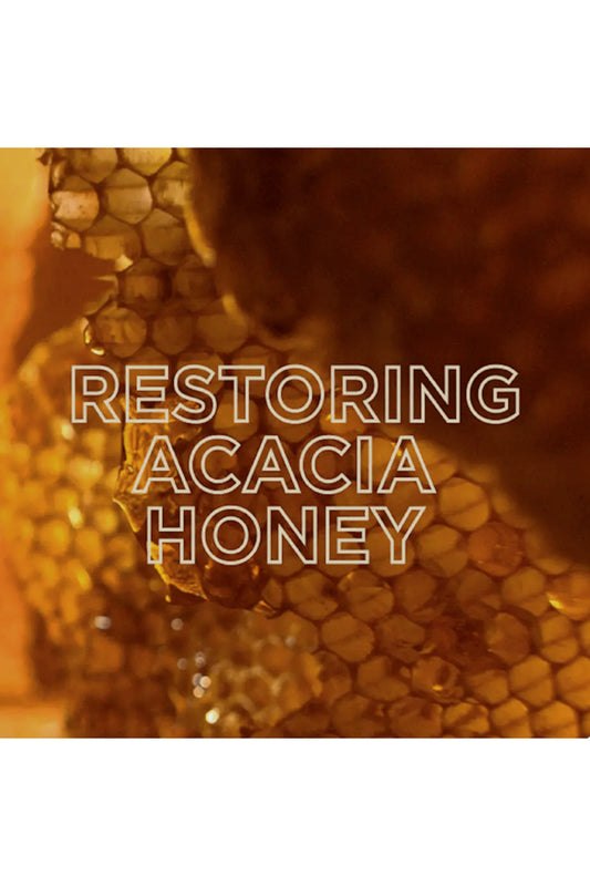 Garnier Honey Hair Repair Mask 340ml