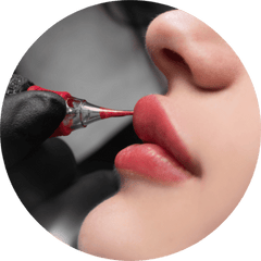 Collection image for: Lips
