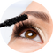 Eyes Makup