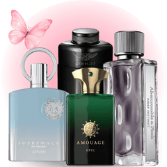 Men's Perfumes