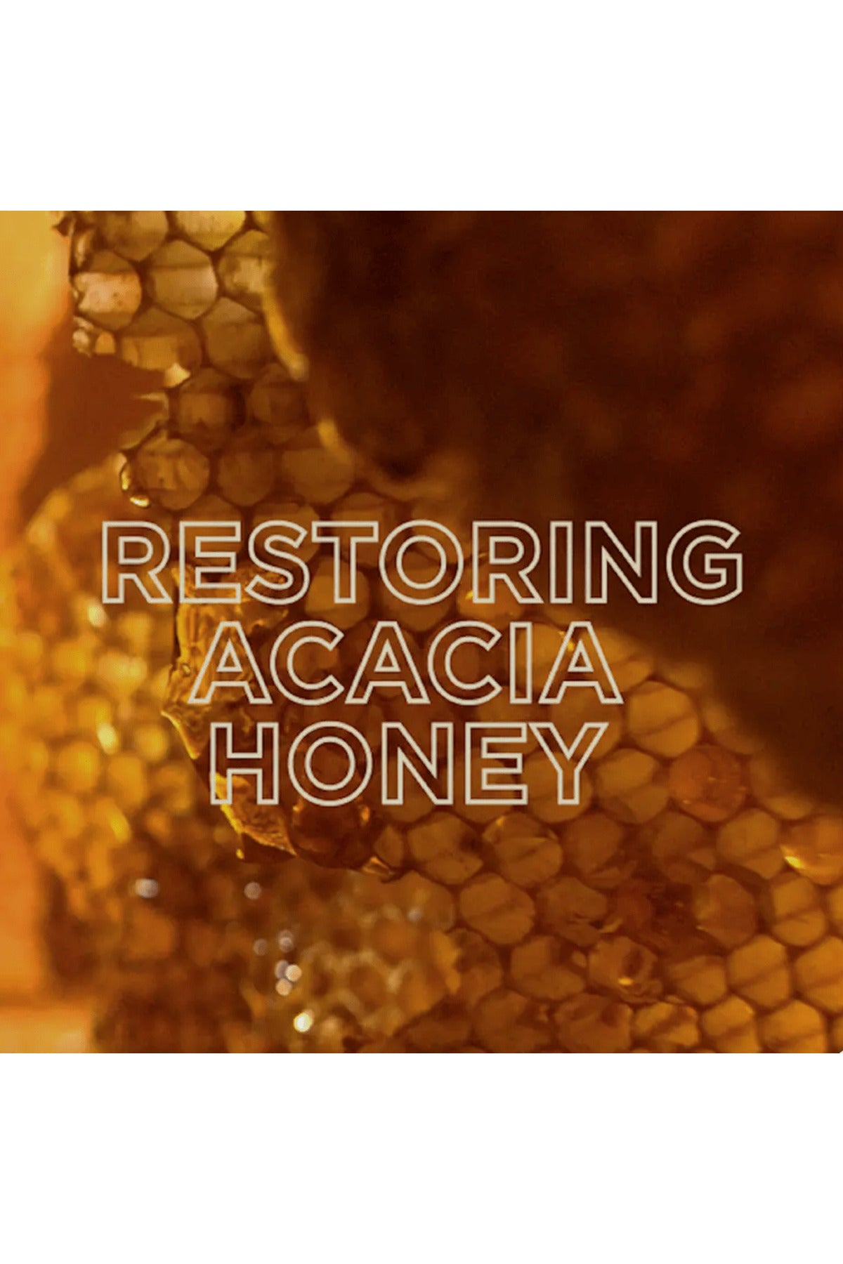 Garnier Honey Hair Repair Mask 340ml