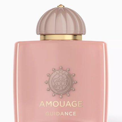 Guidance Unisex Eau De Parfum 100ml