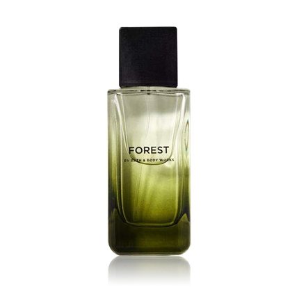 Forest Men'S Collection Pour Homme كولونيا للرجال 100 مل