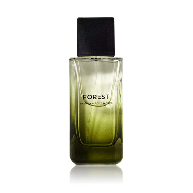 Forest Men'S Collection Pour Homme كولونيا للرجال 100 مل